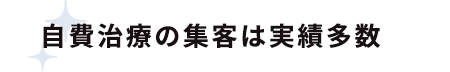 自費治療の集客は実績多数