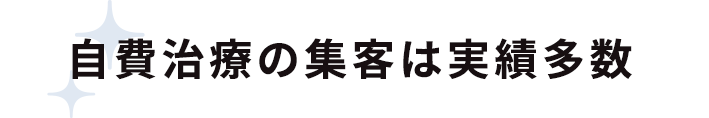 自費治療の集客は実績多数